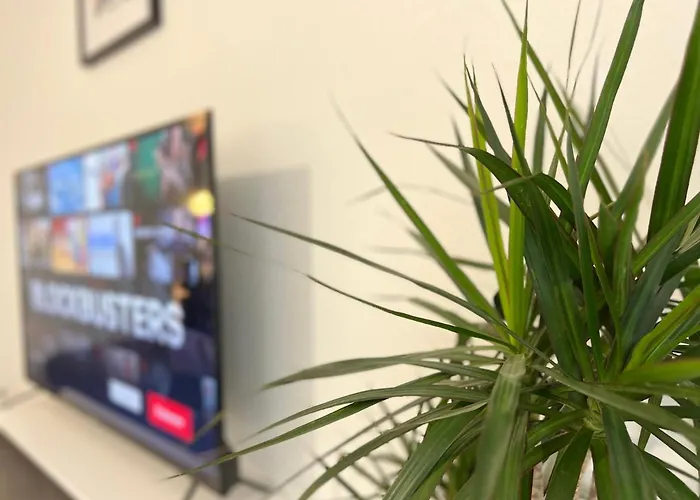 Grand T2 Centre Avec Parking Gratuit