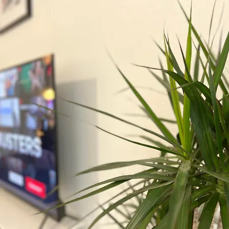 Grand T2 Centre Avec Parking Gratuit